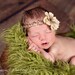 SALE - Olive Faux Fur Photography Prop - Soft, Cozy, Cuddly Faux Fur Nest - Perfect Newborn Photography Prop