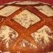 Gluten Free Authentic San Francisco Sourdough Bread Starter