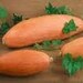 Pink Banana Squash Heirloom 25 Seeds