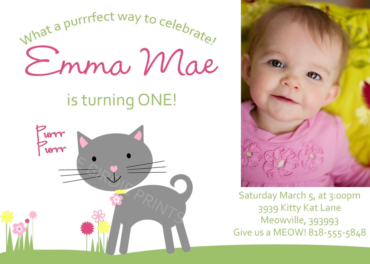 CAT Invitation with Picture or No Picture Option