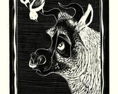 Bull and Birdie Print