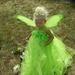 Disney's Inspired TINKERBELL Tutu Dress Up Costume
