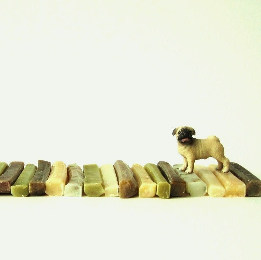 Cinnamon Coffee Bean Travel Soap - Adventure Sticks - Soap To Go. - Travel Size Soap Sticks