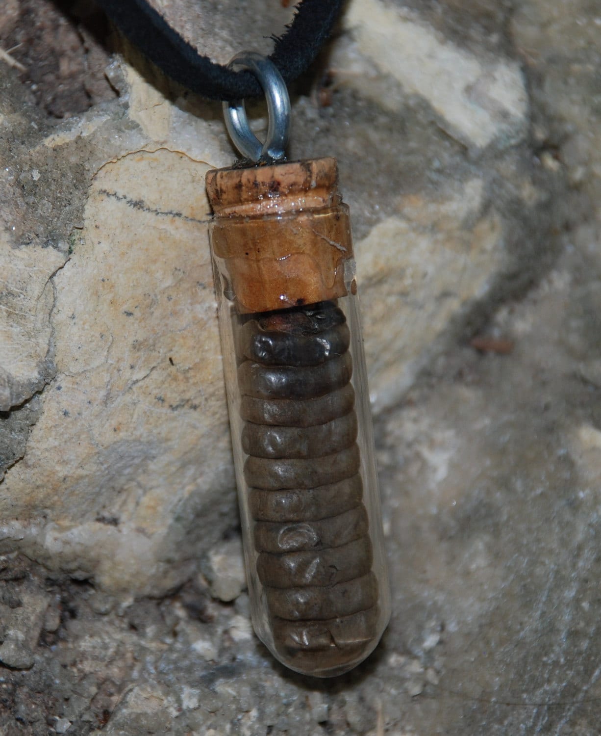 Rattlesnake Rattle Necklace