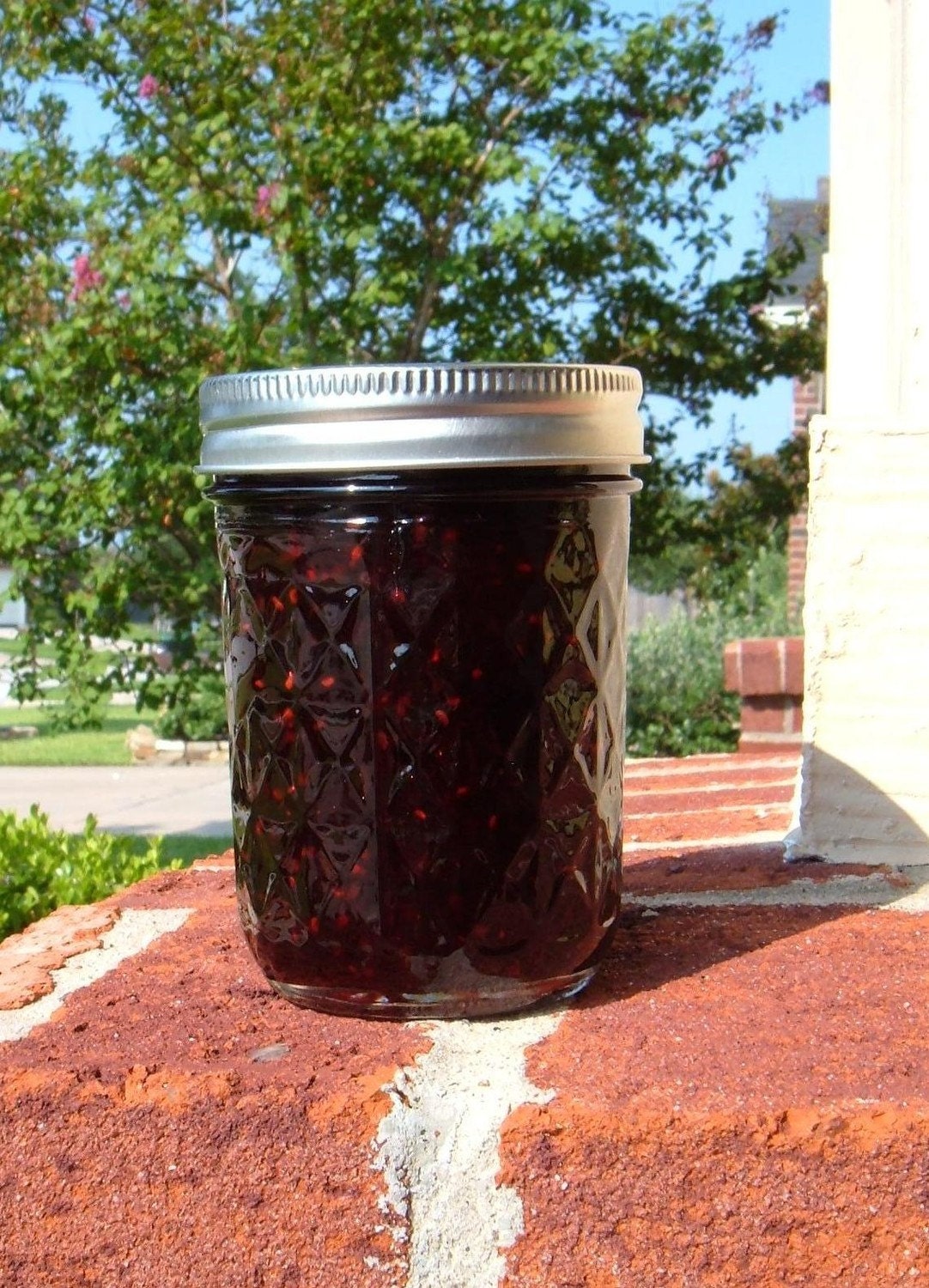 Shannonberry Jam -  8 oz.