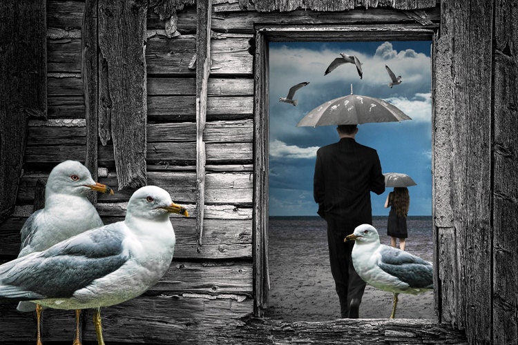 Weathering the Gulls - a Surreal Fine Art Photographic Image