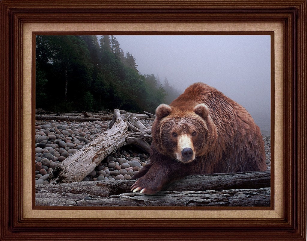 Some Days You Eat the Bear, Some Days the Bear Eats You A Fine Art Wall Decor Photograph
