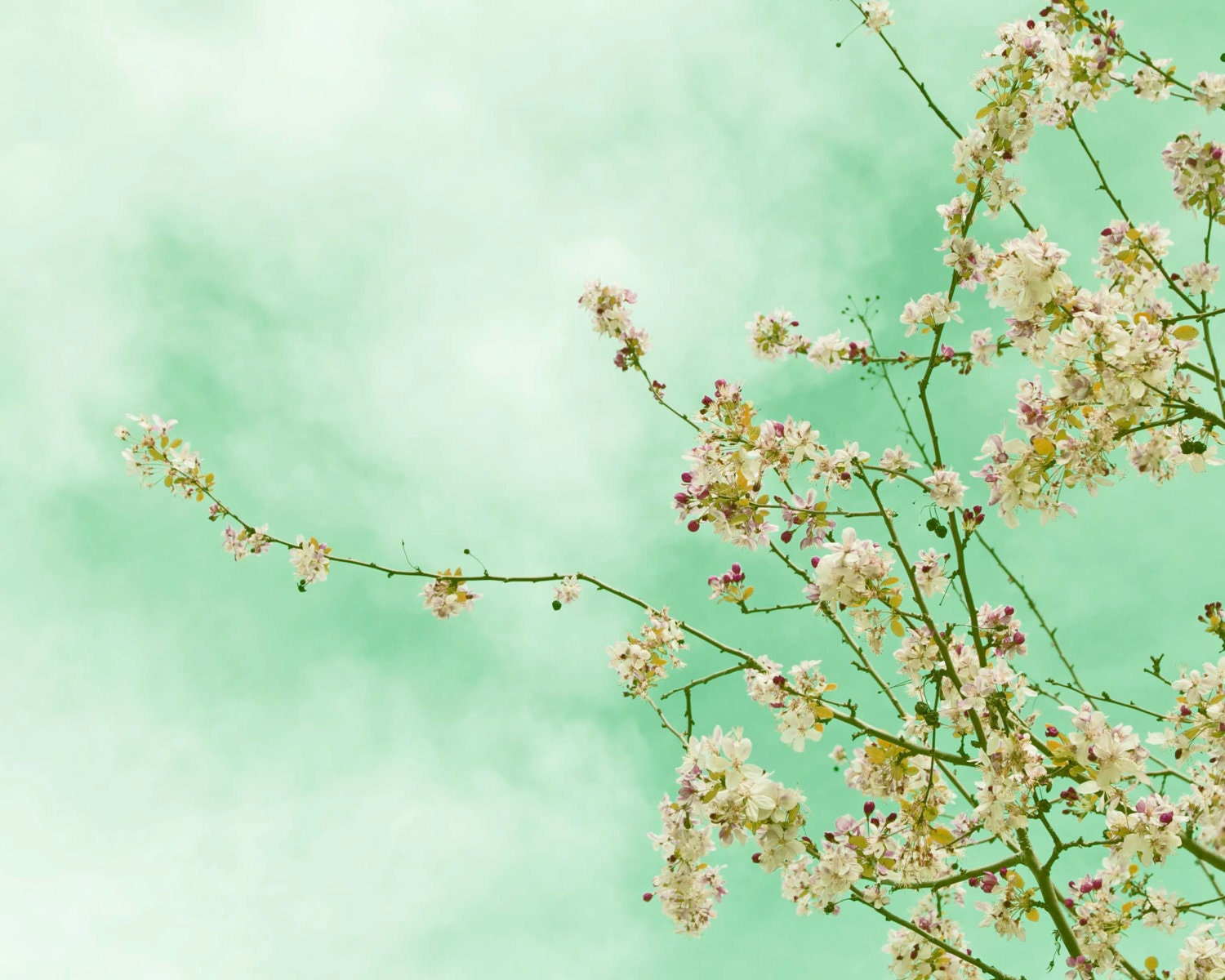 Mint Home Decor Photograph Spring Photo Shabby Cottage Chic Pale Pink Turquoise Green Woodland Pastel Feminine Blossom Flower Nursery Wall