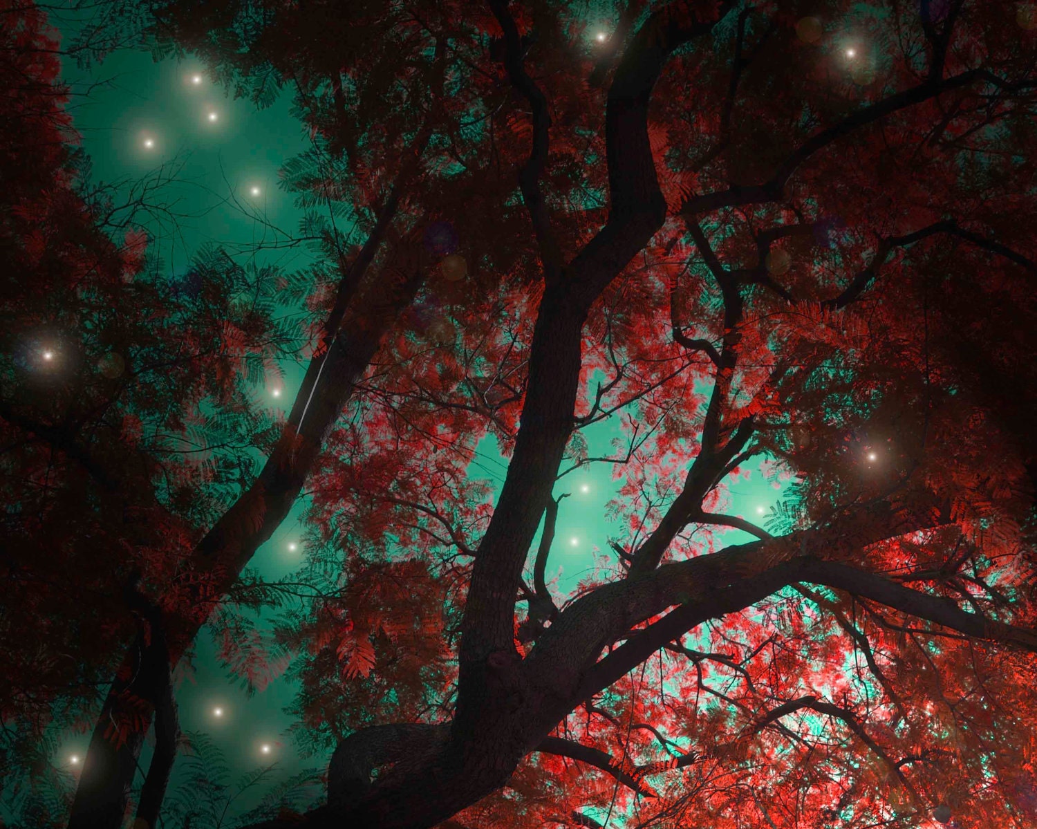 Turquoise Red Photograph Starry Night Star Magical Print Teal Blue Photo Photography Home Decor Baby Nursery Wall Drama Star Men Dramatic