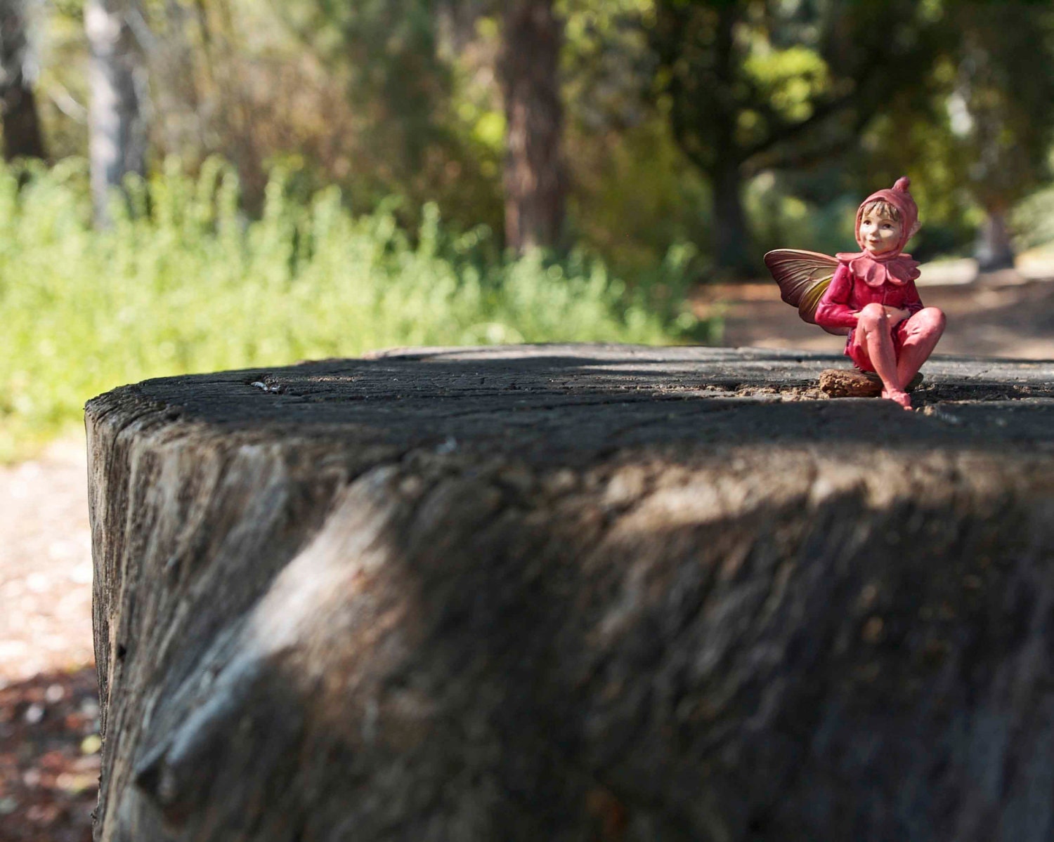 Waldorf Fairy Photograph, Woodland Fine Art Photography Photo Print, Baby Boy Nursery Bedroom Wood Grain Rustic Home Decor Brown wood red