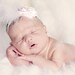 Angel Baby Rosette Headband