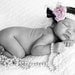Cheetah and pink Diva headband Sale