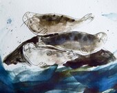 Seal Splash. Limited Edition digital print of my blue water splashing seals on rocks in the ocean illustration. UK seller 8" x 11"