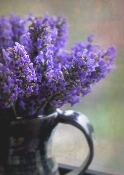 Lavender On The Sill A Signed Fine Art Photograph 4 X 6 inches - gildinglilies