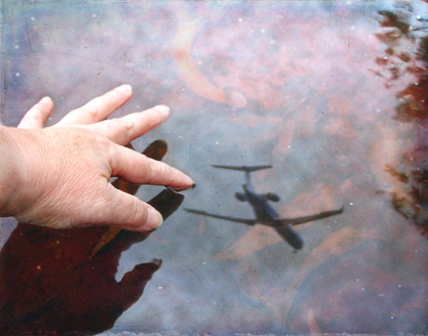 Touch The Sky  - A Signed Fine Art Photograph - gildinglilies