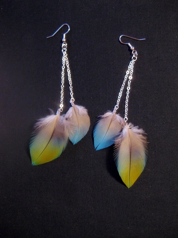 Macaw Parrot Feather Earrings - CRUELTY FREE
