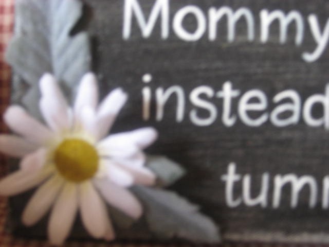Adoption the heart of a mom