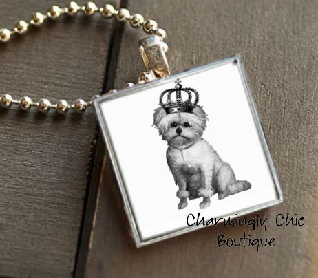 Vintage Maltese with Crown Pendant (183) in a Silver Square tray with Glass Tile