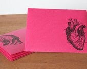 pink envelopes set of five: anatomical heart