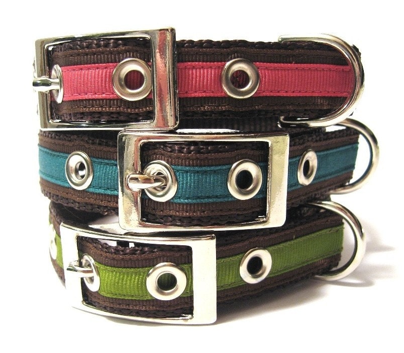 Custom Dog Collar w/ Metal Buckle- Chloe's Classic Bright Solids
