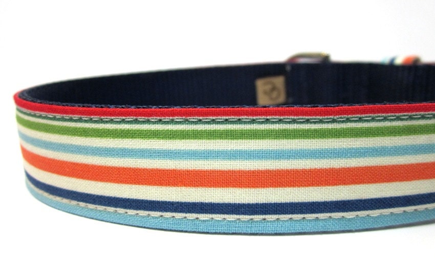 Bright Dog Collar - Bright and Colorful Stripes