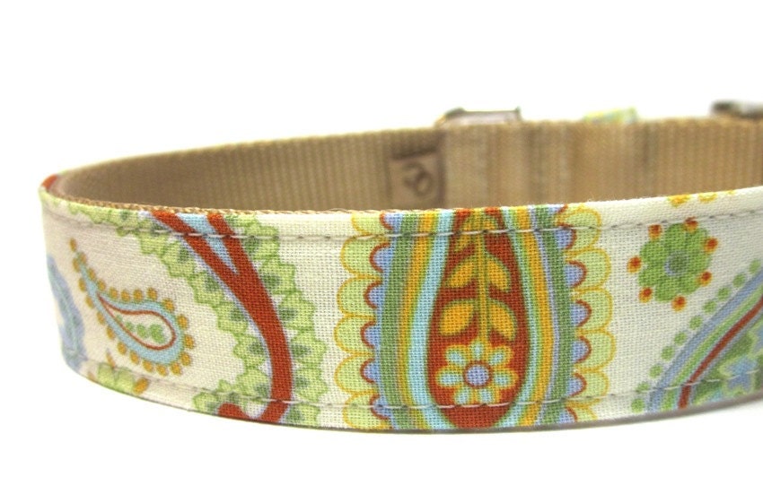 Paisley Dog Collar- Under the Tuscan Sun