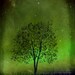 Emerald Bewitched -- Wearable Art tree Locket-Valentine's Gift