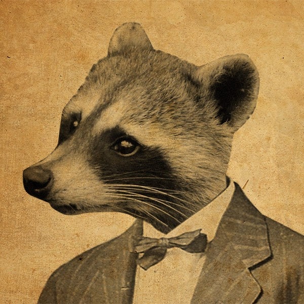 Raccoon in a Suit Portrait 8x10 Art Print