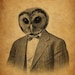 Owl in a Suit Portrait Wood Block Print