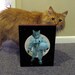 Astronaut Space Cat - Wood Block Art Print