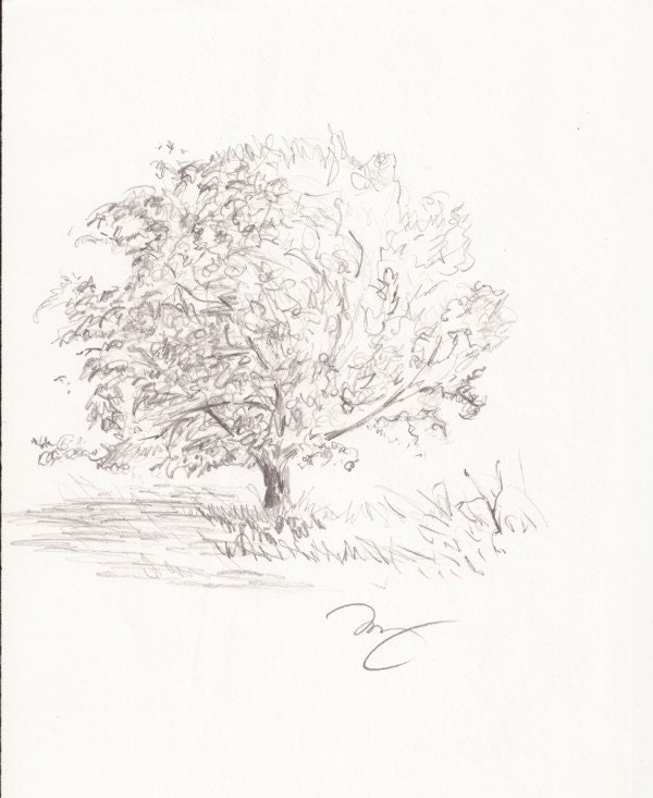 Custom Pet Drawing in Pencil from your photograph
