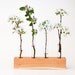 Wood Vase Decorative Bud Vase Wedding Vase FLORENCE