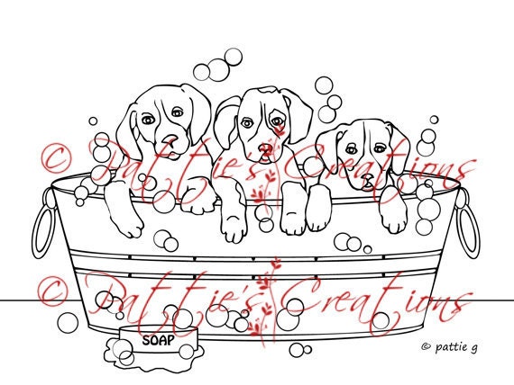 Rub-a-dub Puppies