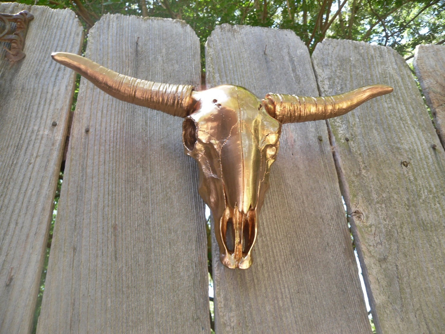 Faux taxidermy / Wall Mount Skull / Copper Long Horn Skull with Horns