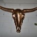 Faux taxidermy / Wall Mount Skull / Copper Long Horn Skull with Horns