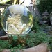 Human Fetal Skeleton in Glass Womb on Vintage Metal Stand