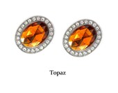 Magnetic Topaz Jeweled Ornamented Shoe Magnets Clips