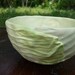 Cabbage Bowl