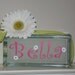 Girls glass block night light- butterflies/daisies