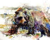 GRIZZLY BEAR Painting - Watercolor Print