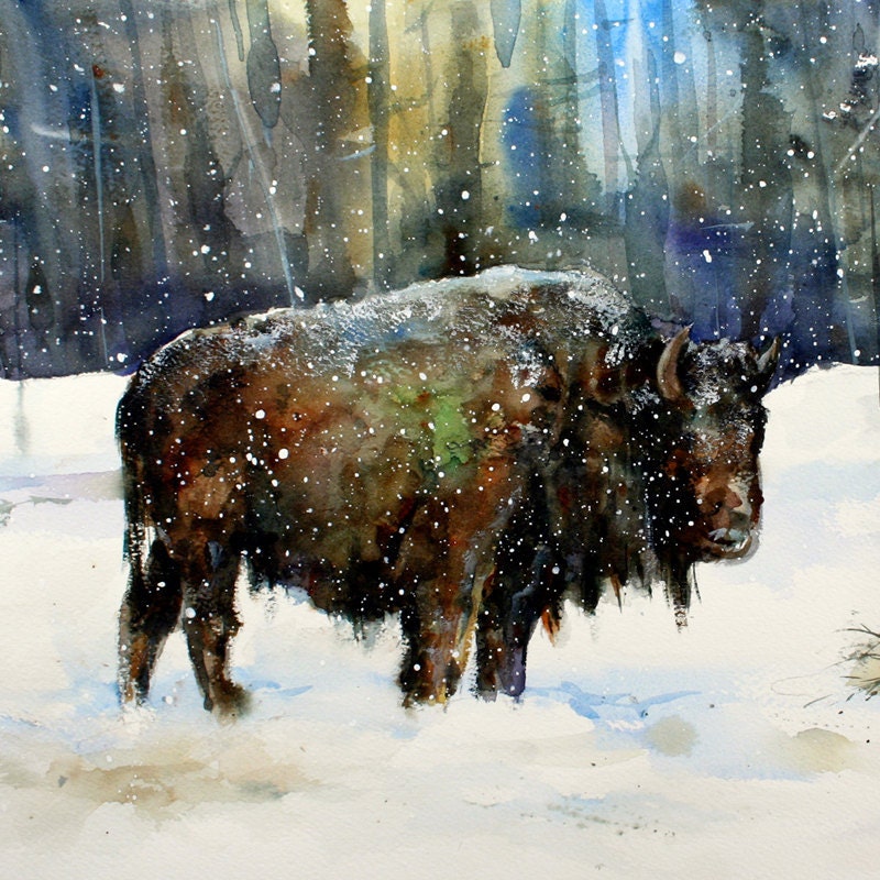 BUFFALO Large Watercolor Print by Dean Crouser