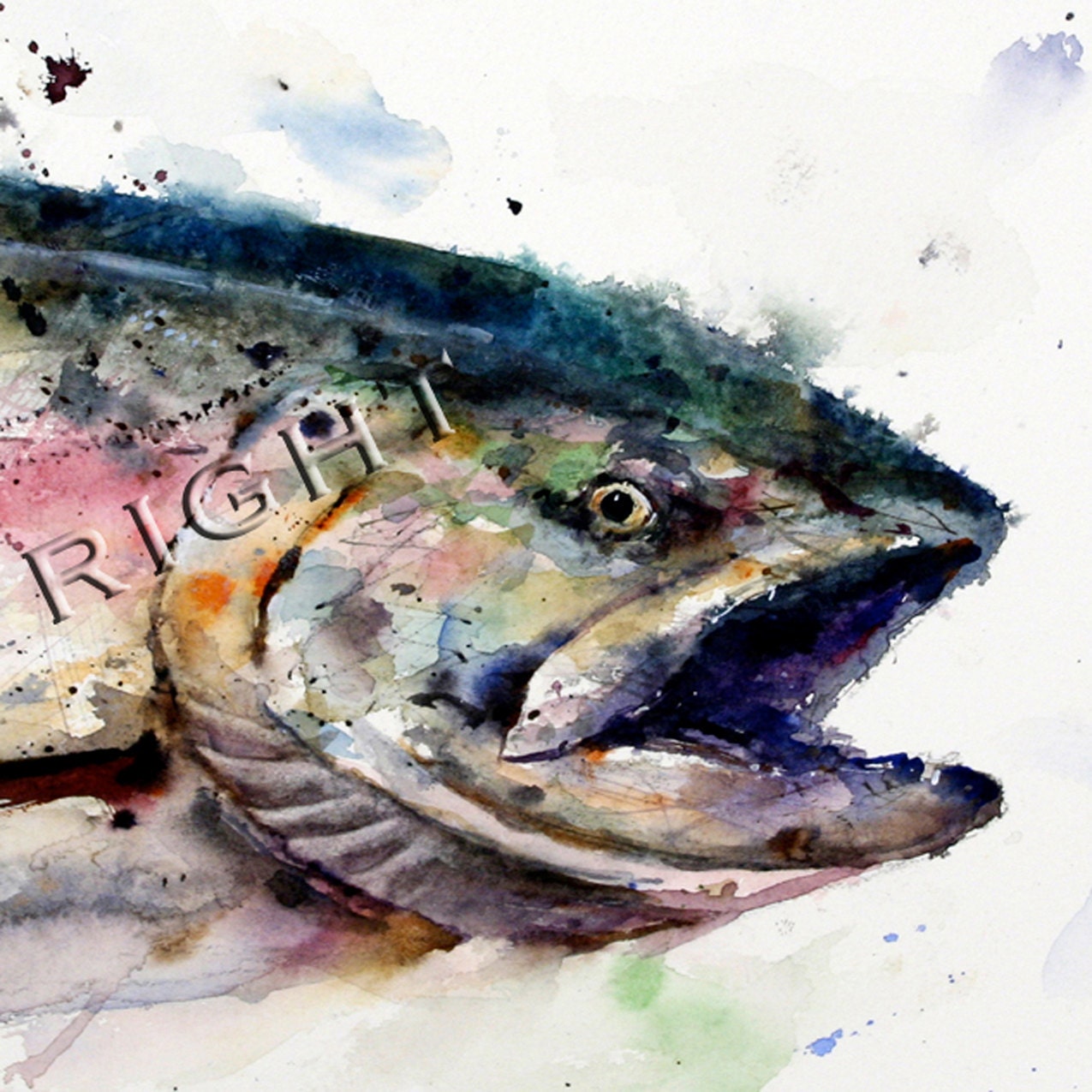 ABSTRACT SALMON Watercolor Fish Print By Dean Crouser