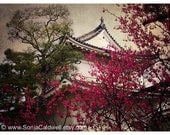 Kyoto, Japan - Nijo-jo, Nijo Castle, spring blossoms, rustic wall decor, Japanese architecture - 9x12 Original Fine Art Photograph
