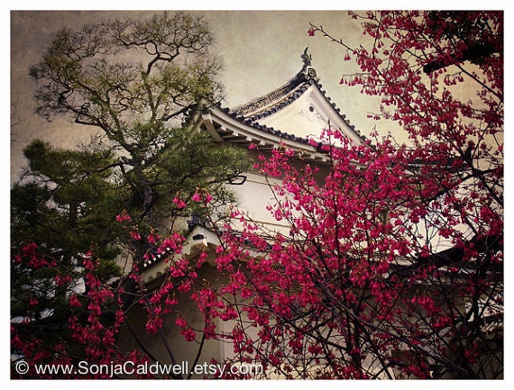 Spring Blossom Japan