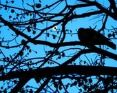 Blue Art - Paris France Photo - Blue Bird and a Moon - French Decor - Parisian Wall Art -  Fine Art Print  - Square Photo - Nature