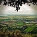 Tuscany Landscape Photograph - Italian Photography - Tuscan Fields Print - Italy Countryside - Large Green Natural - Home Decor - Wall Art
