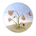 Ode to the Pollinators