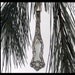 1800's silver spoon ornaments set of 10