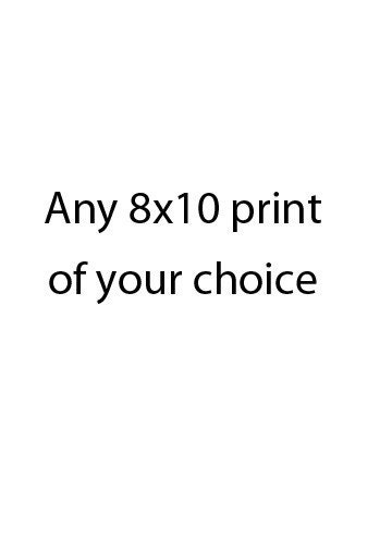 Any Image - Fine Art - 8x10 - Image of your Choice - Original Wall Art