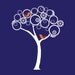 Vinyl Wall Decal Sticker Art - Modern Abstract Tree with Birds - extra large